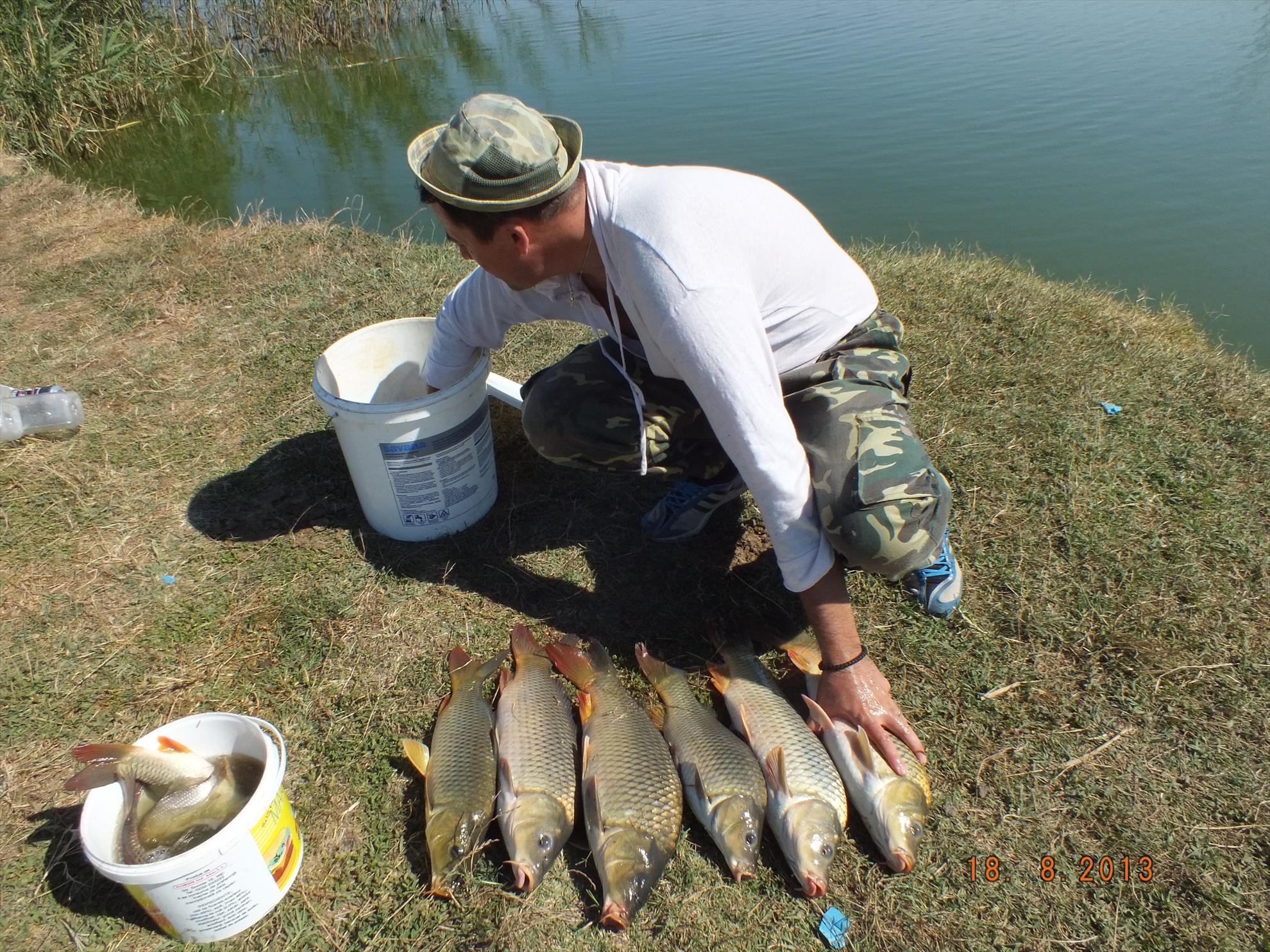 Poze pescuit 2013 - dscf0434.JPG